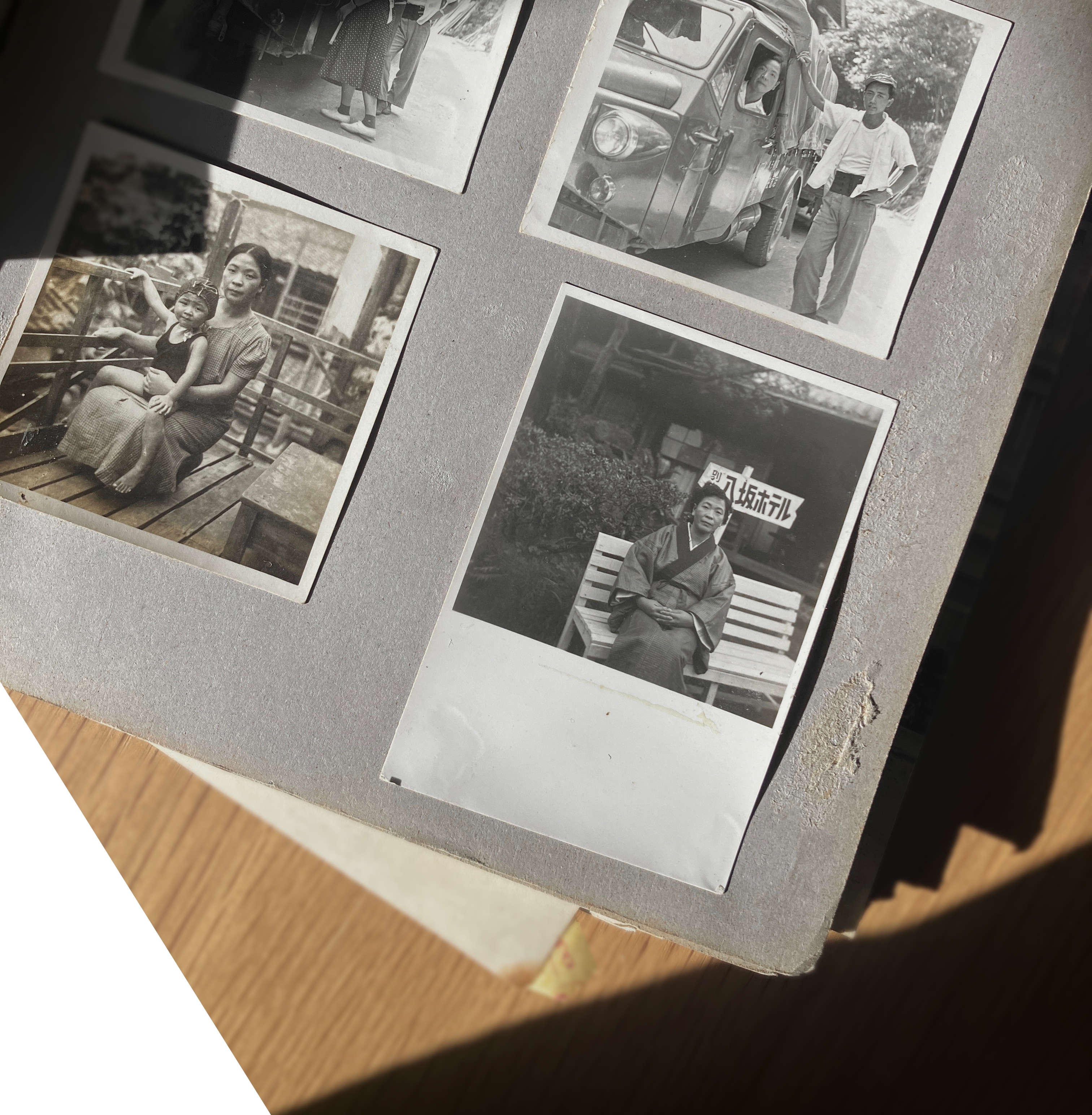 ���v�E���΃G���A�ɂ���L���R�T���`�u�y�[�W�̐}���فv�́A�L���Ƃ��ẲƑ��A���o����g�̂܂��̂��̂����̋��ꏊ�ł��B���p�������Ə����������s���Ă��܂��B